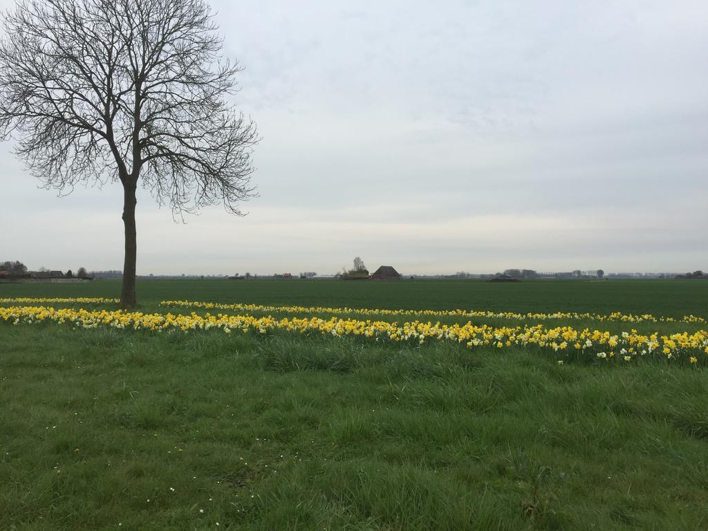 De Stadspoort Appartementen Aardenburg Bagian luar foto